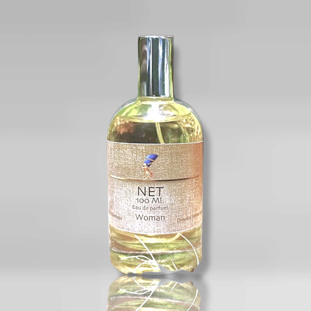 Net 13